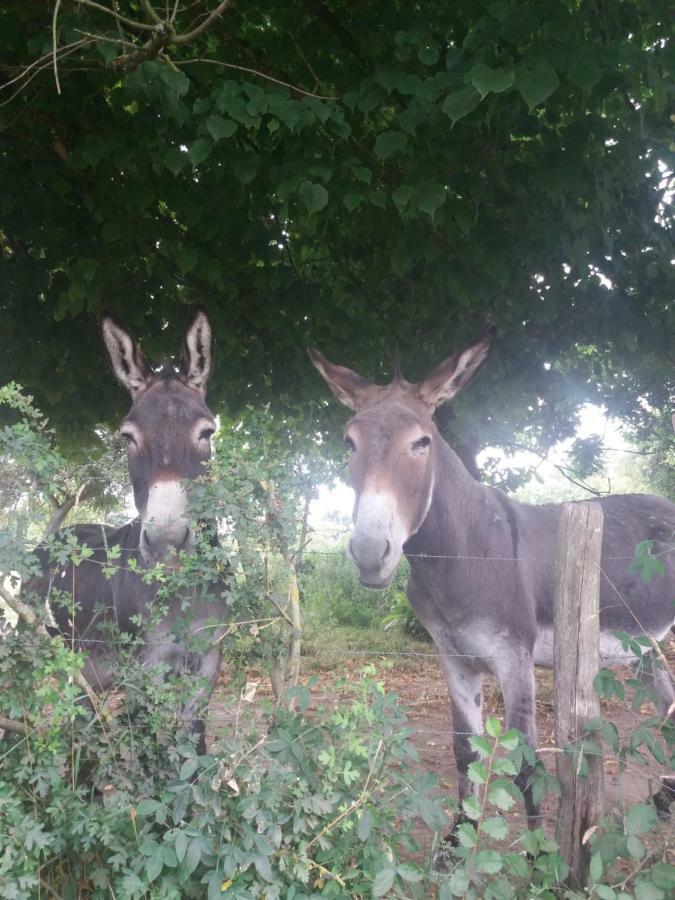 Kerflaveur Hotel La Fresnaye-au-Sauvage Kültér fotó